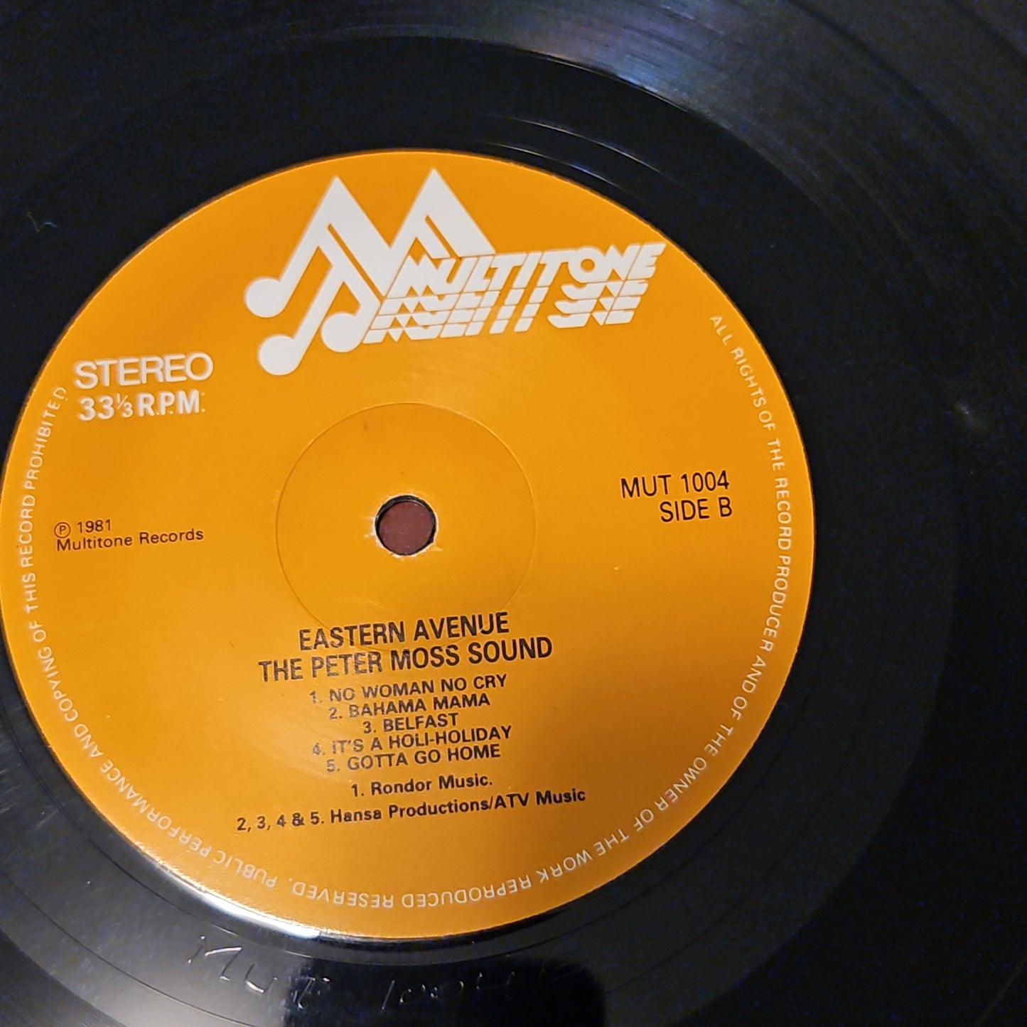 Peter Moss Sound - Eastern Avenue in Excellent