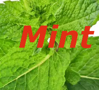 Pristine collection - These need to be collected